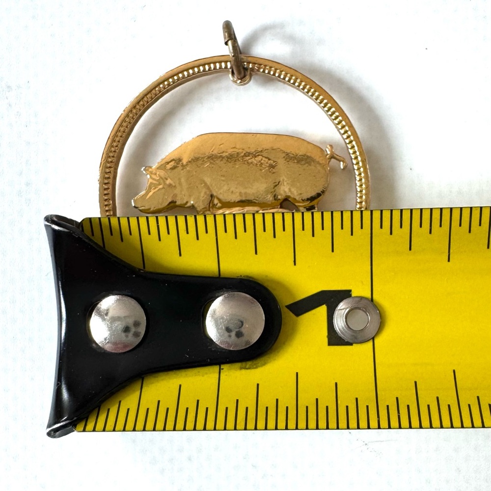 Vintage Irish Half Penny Coin Pendant Cut Coin Jewelry Pig & Piglets Ireland - Picture 8 of 10